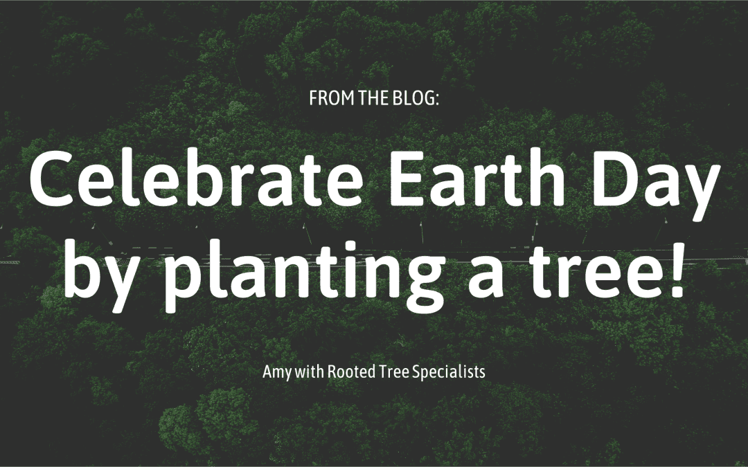 Celebrate Earth Day by planting a tree!