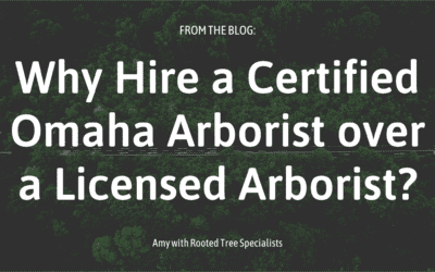 Why Hire a Certified Omaha Arborist over a Licensed Arborist?