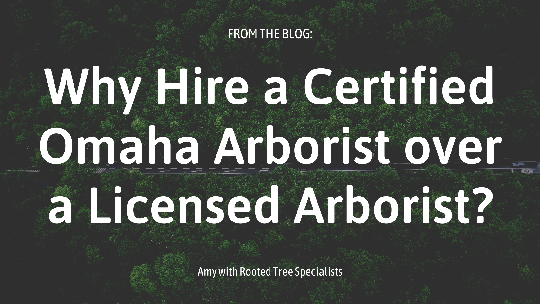 blog post featured image for certified omaha arborist