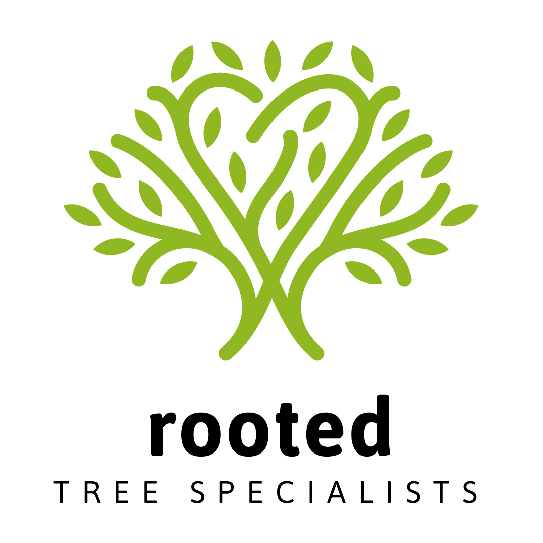 heart tree logo in green for omaha's rooted tree specialists